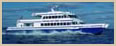 Vineyard Fast Ferry