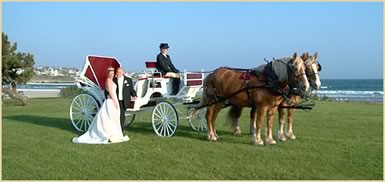 Horsedrawn Carriage for weddings